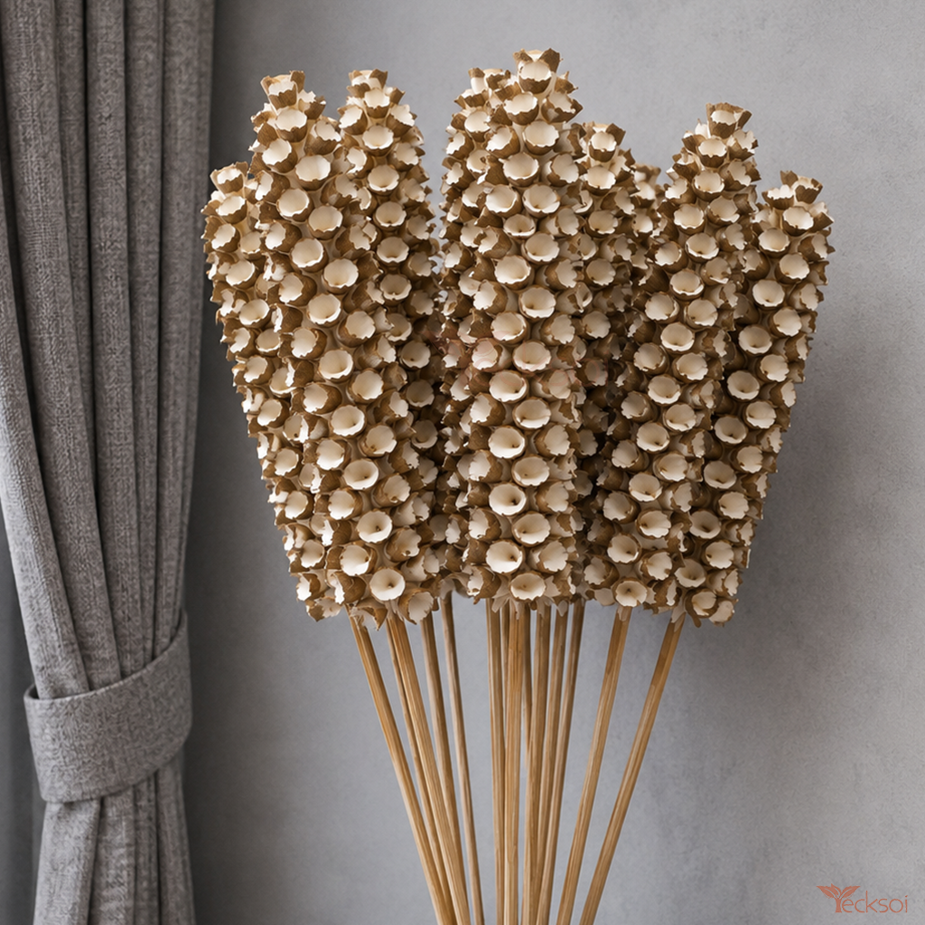 Tecksoi Natural Sola Wood Makka Sticks – Premium Handmade Dry Flower for Home Decor, Floral Styling & Luxury Interior Decoration | Pack Of 5
