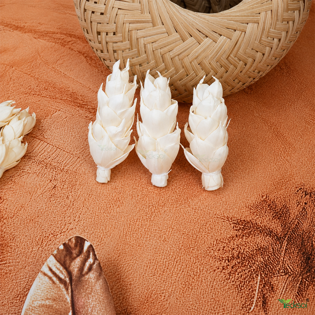 Tecksoi Alpinia Sola Wood Flower – Realistic Handcrafted Floral Decor Inspired by Tropical Elegance | Pack Of 10