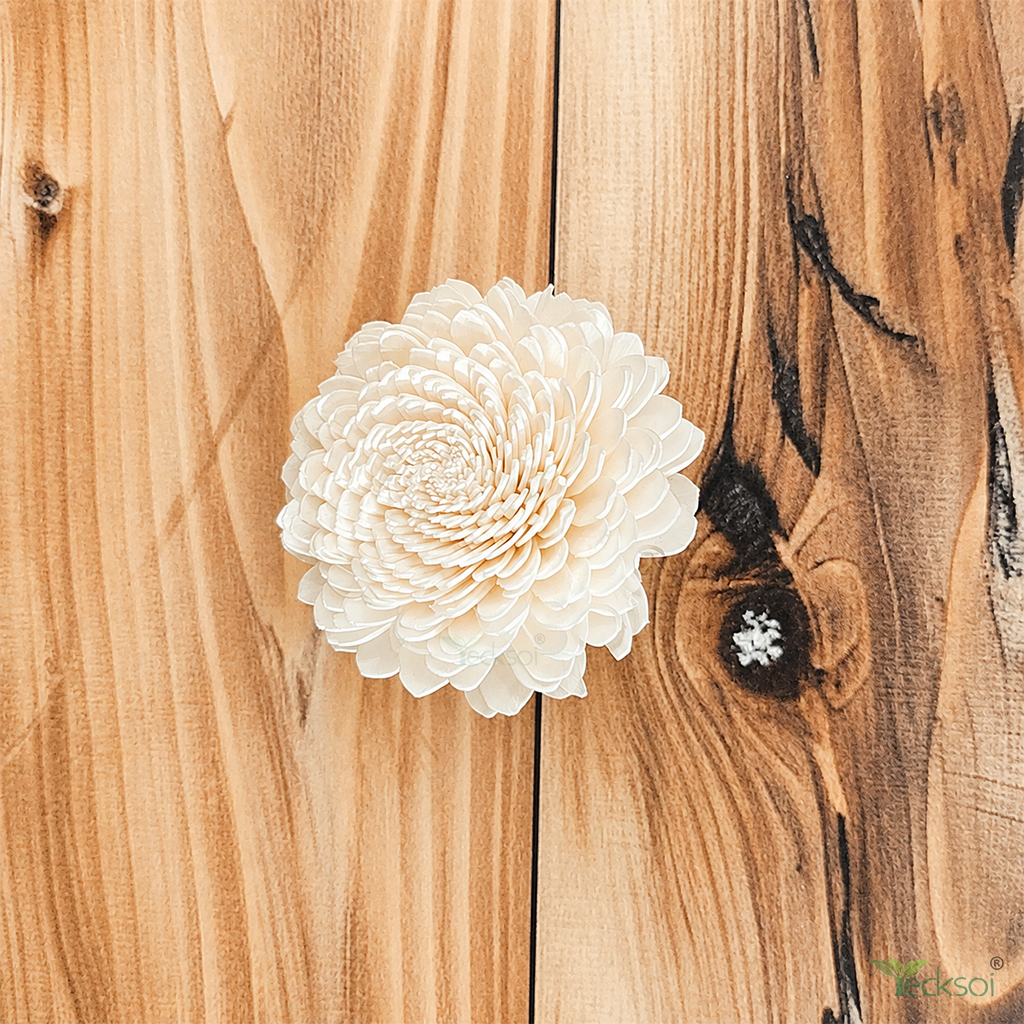 Tecksoi Belle Sola Wood Flower – Elegant Handcrafted Floral Decor with Real Flower-Like Beauty | Pack Of 10