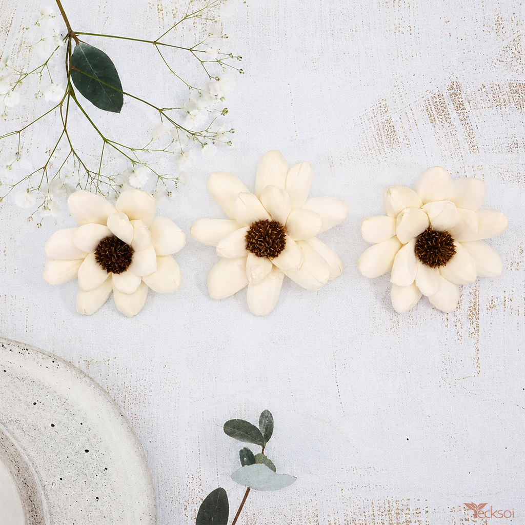Tecksoi Black Eyed Daisy Sola Wood Flower – Premium Handmade Natural Dry Flower for Elegant Home, Wedding & Event Decoration | Pack of 10