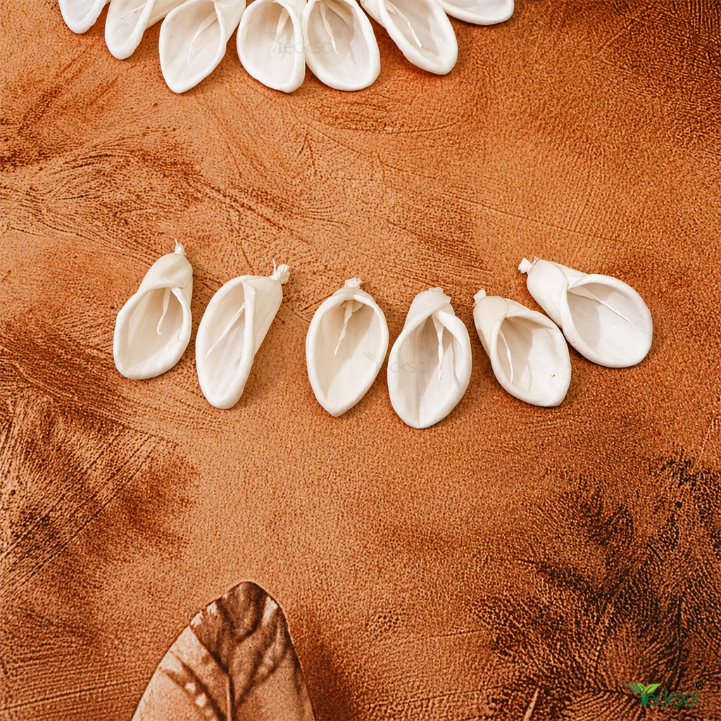 Tecksoi Cella Lily Sola Wood Flower – Premium Handcrafted Floral Decor with Realistic Lily Elegance | Pack Of 15
