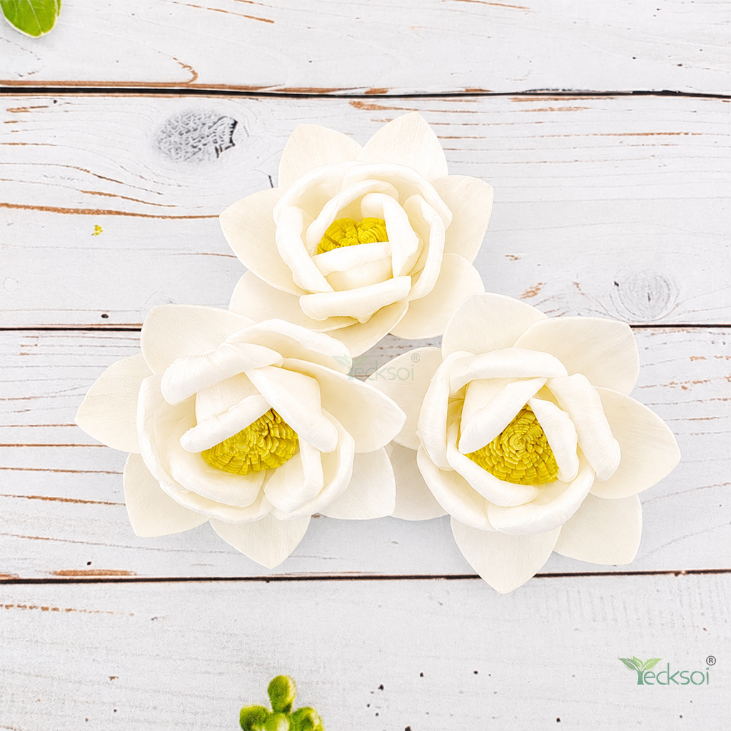 Tecksoi Dasajin Lotus Sola Wood Flower – Premium Handcrafted Floral Decor with Graceful Lotus Elegance | Pack Of 10