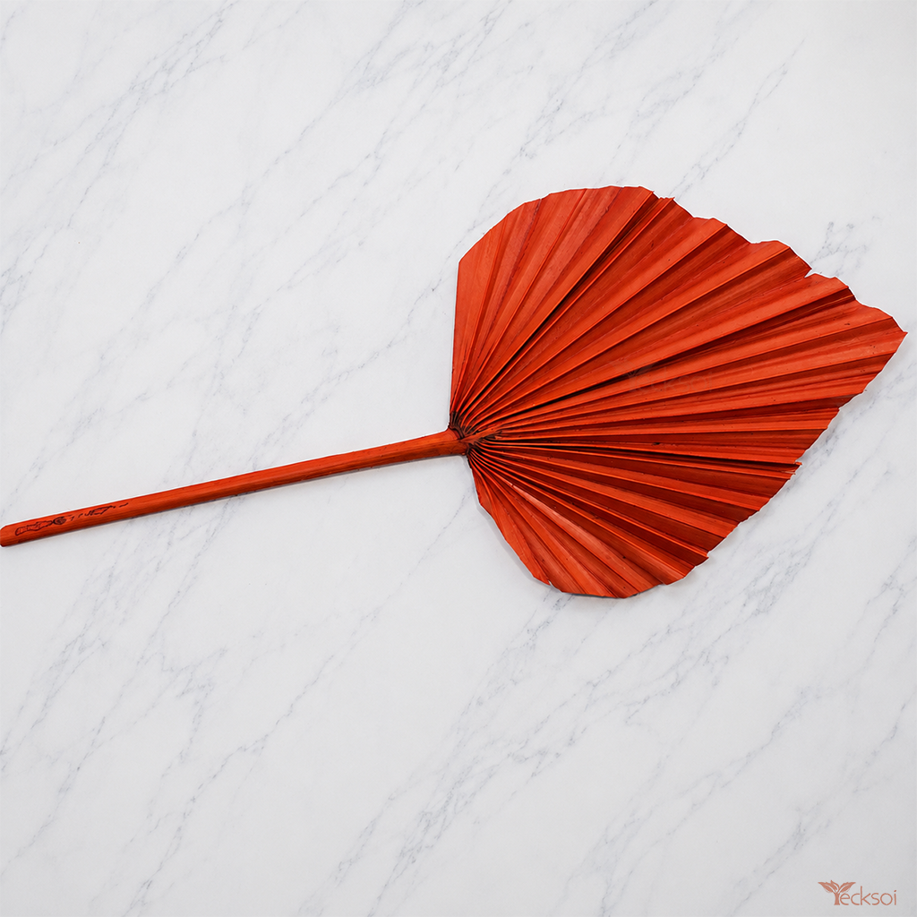Tecksoi Dried Orange Palm Leaves – Natural Palm Leaves for Premium Home Decor, Vase Arrangements & Luxury Interior Styling | Pack Of 10