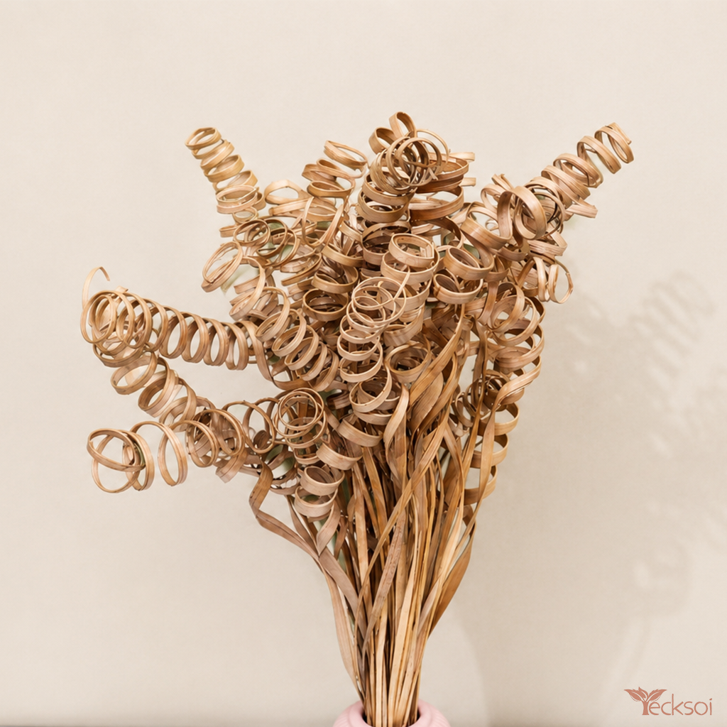 Tecksoi Dried Palm Curly Springs For Decor | Pack Of 10