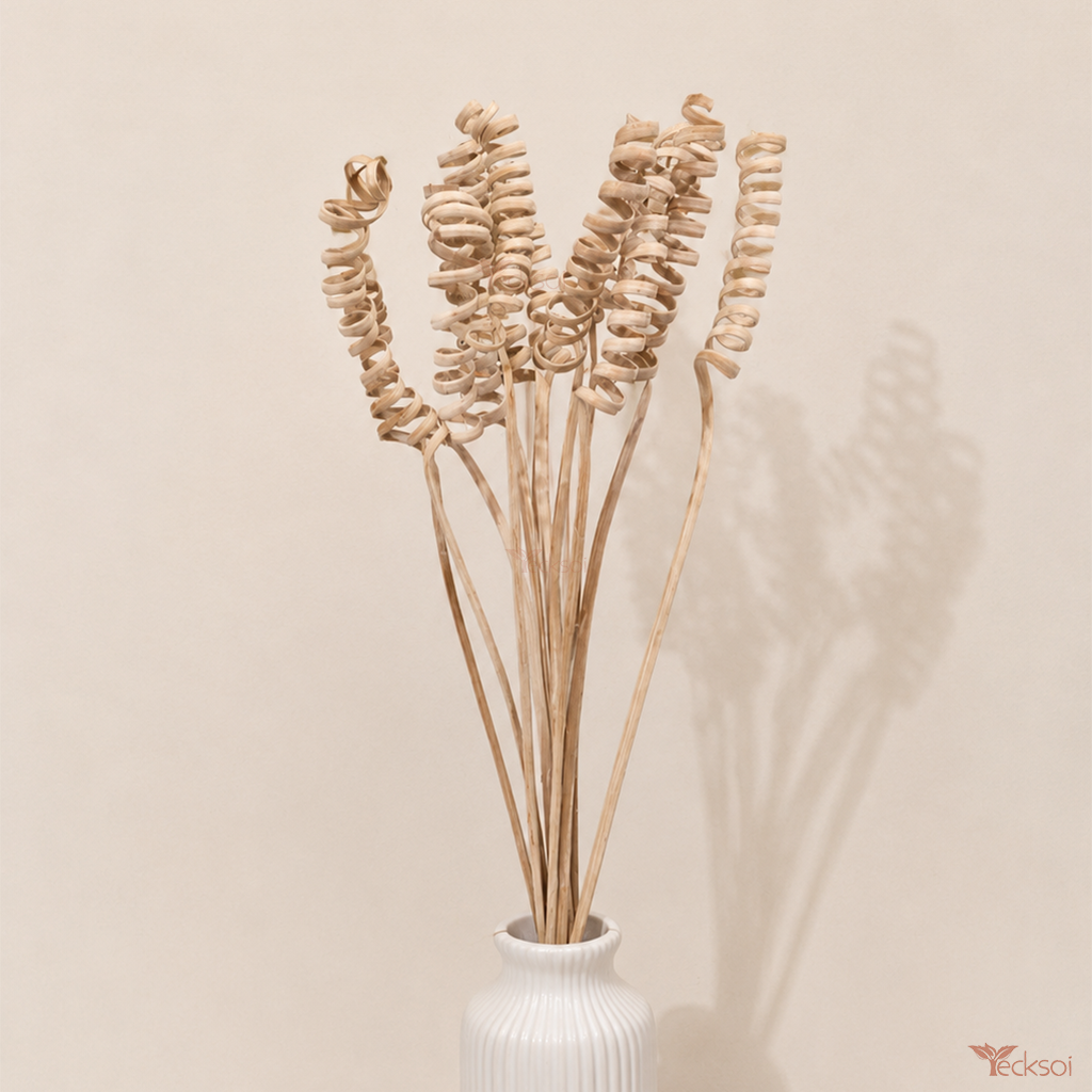 Tecksoi Dried Willow Curly Springs | Pack Of 10