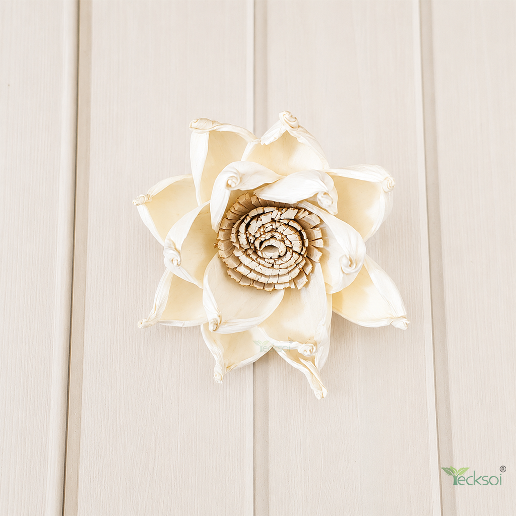 Tecksoi Gazania Sola Wood Flower – Premium Handcrafted Floral Decor with Realistic Natural Beauty | Pack Of 10