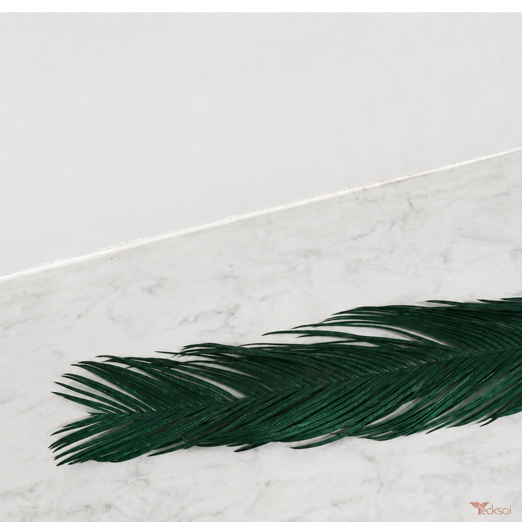 Tecksoi Green Cycas Leaves for Bouquets & Decor – Premium Natural Decorative Cycas Leaves for Floral Arrangements | Pack Of 5
