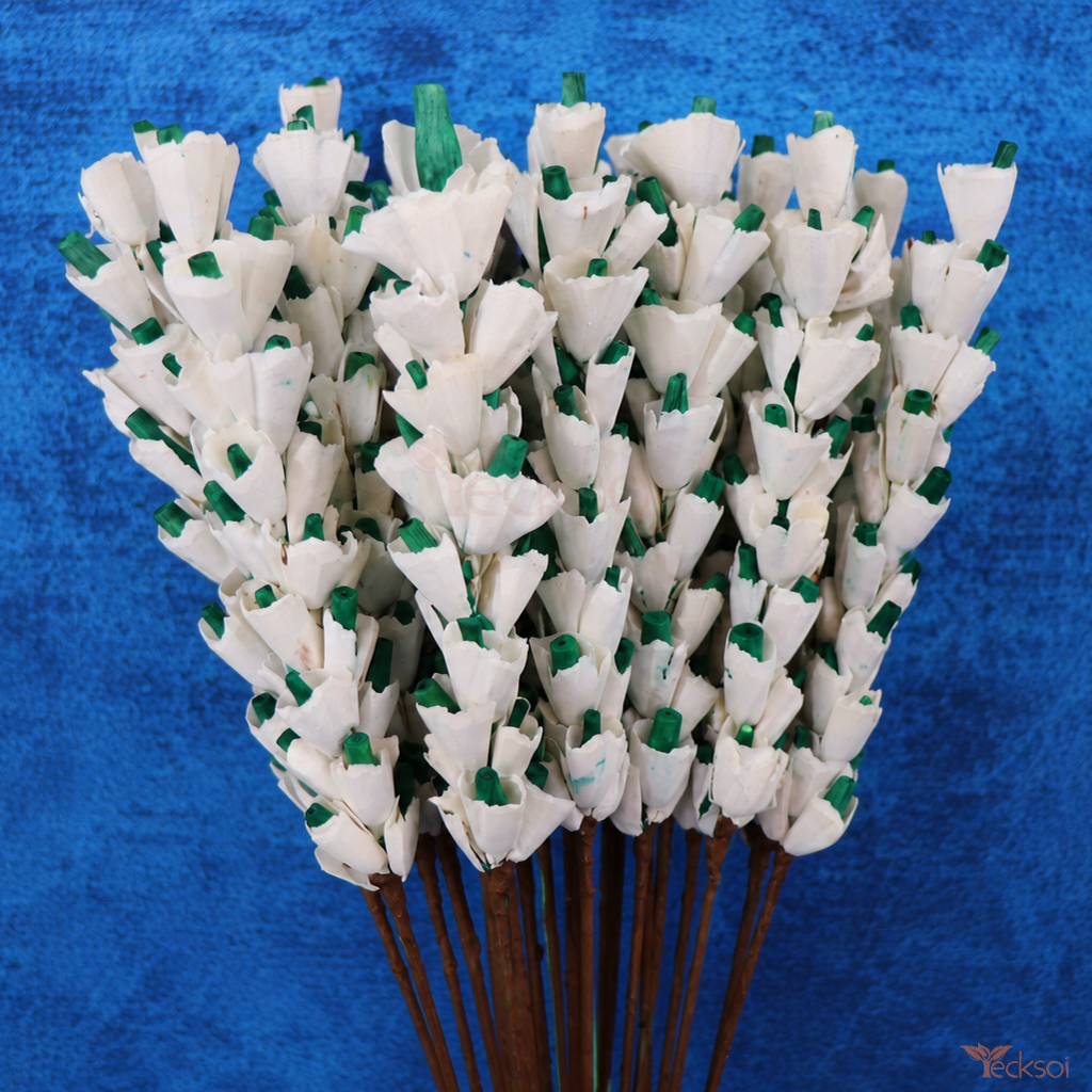 Tecksoi Green Shell Ginger Sola Wood Flower Sticks Natural Dried Vase Decor | Pack Of 5