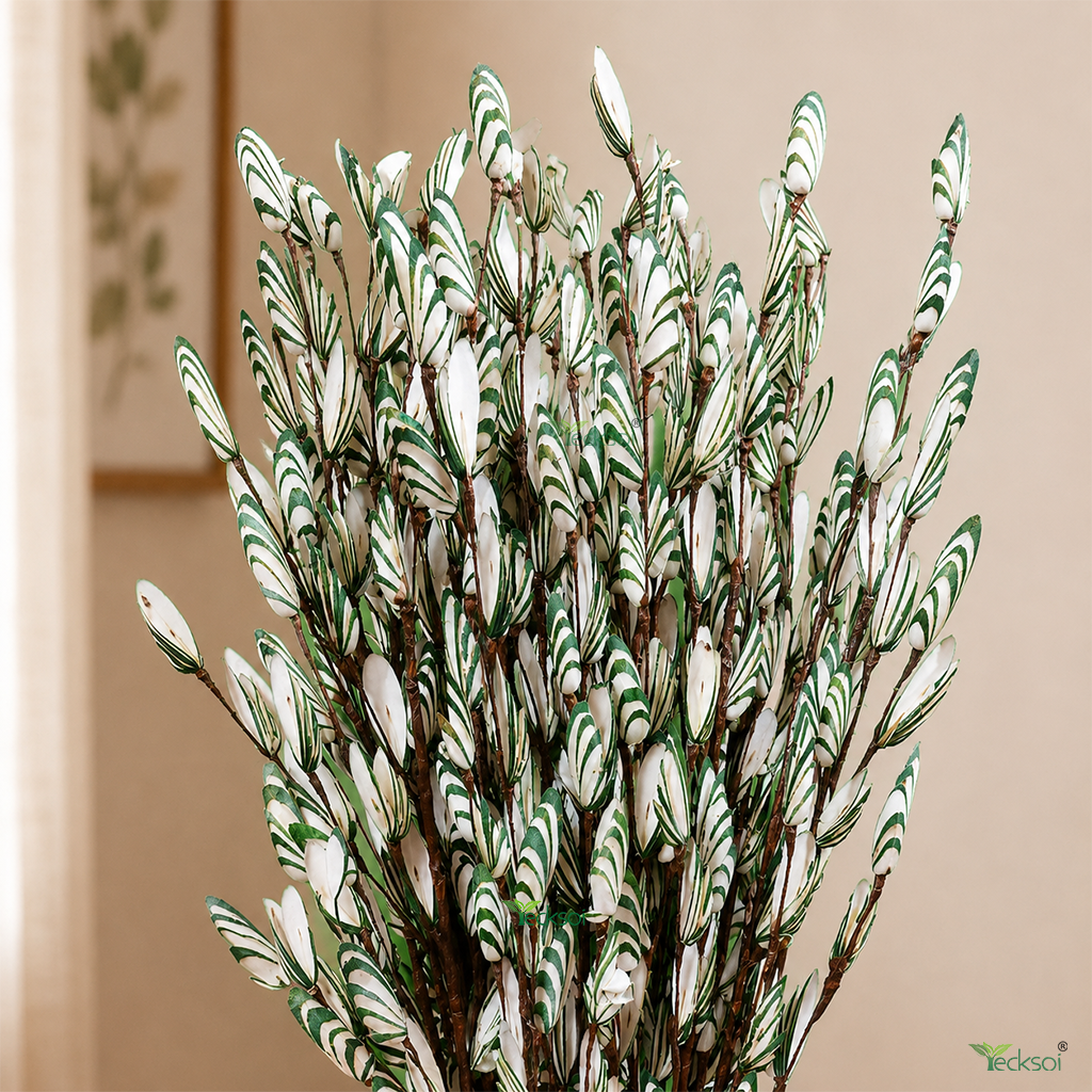 Tecksoi Green Tetul Pata Sola Wood Flower Sticks – Handmade Natural Dry Flower Decor for Home & Event Decoration | Pack Of 5