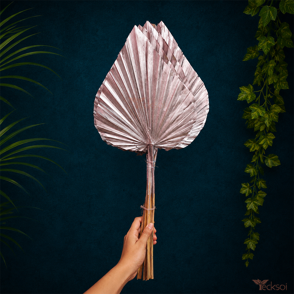 Tecksoi Large Silver Palm Leaves – Dried Palm Spear for Luxury Decor | Pack Of 5