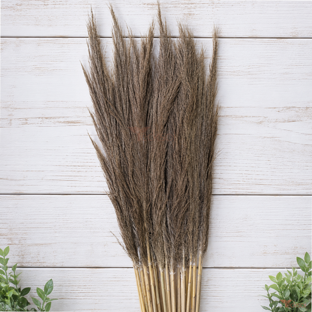 Tecksoi Natural Dried Brown Pampas Grass Stems for Vase & Boho Decor – Premium Handmade Natural Dried Grass for Home Decoration | Pack Of 10 Stems