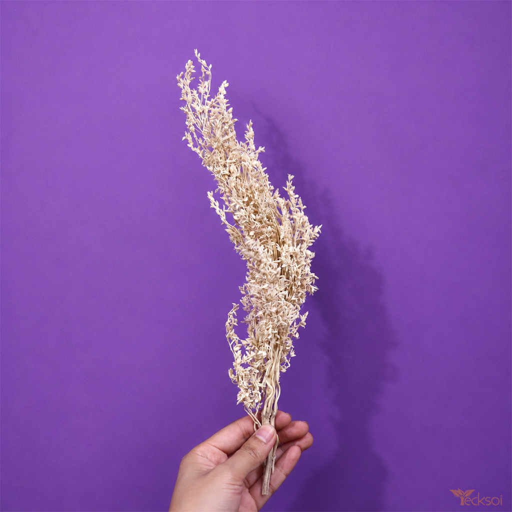 Tecksoi Natural Dried Corn Grass for DIY Craft, Festival Decor & Eco Projects – Premium Handmade Decorative Dry Grass | Pack Of 10 Bunch