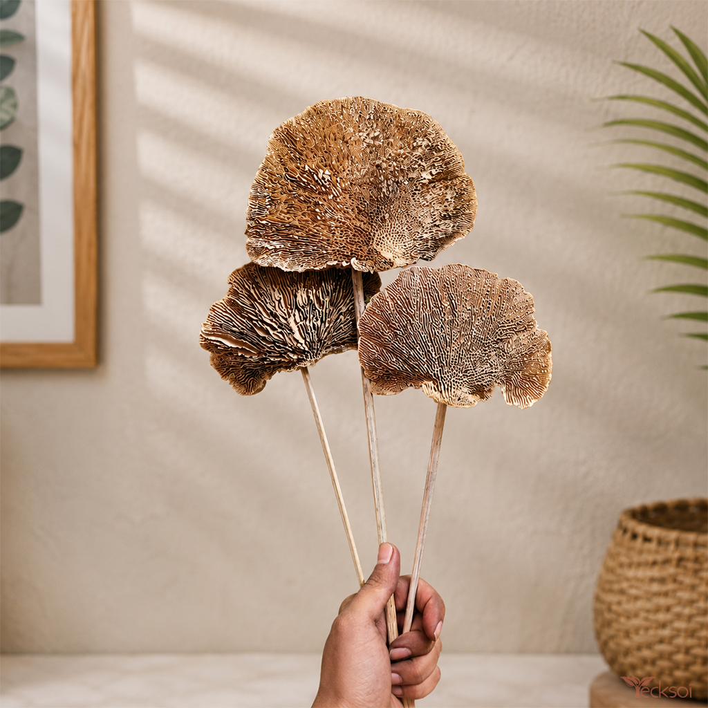 Tecksoi Natural Dried Mushroom Woody Polypore Fungus for Crafting & Decor – Premium Handmade Natural Botanicals | Pack Of 10