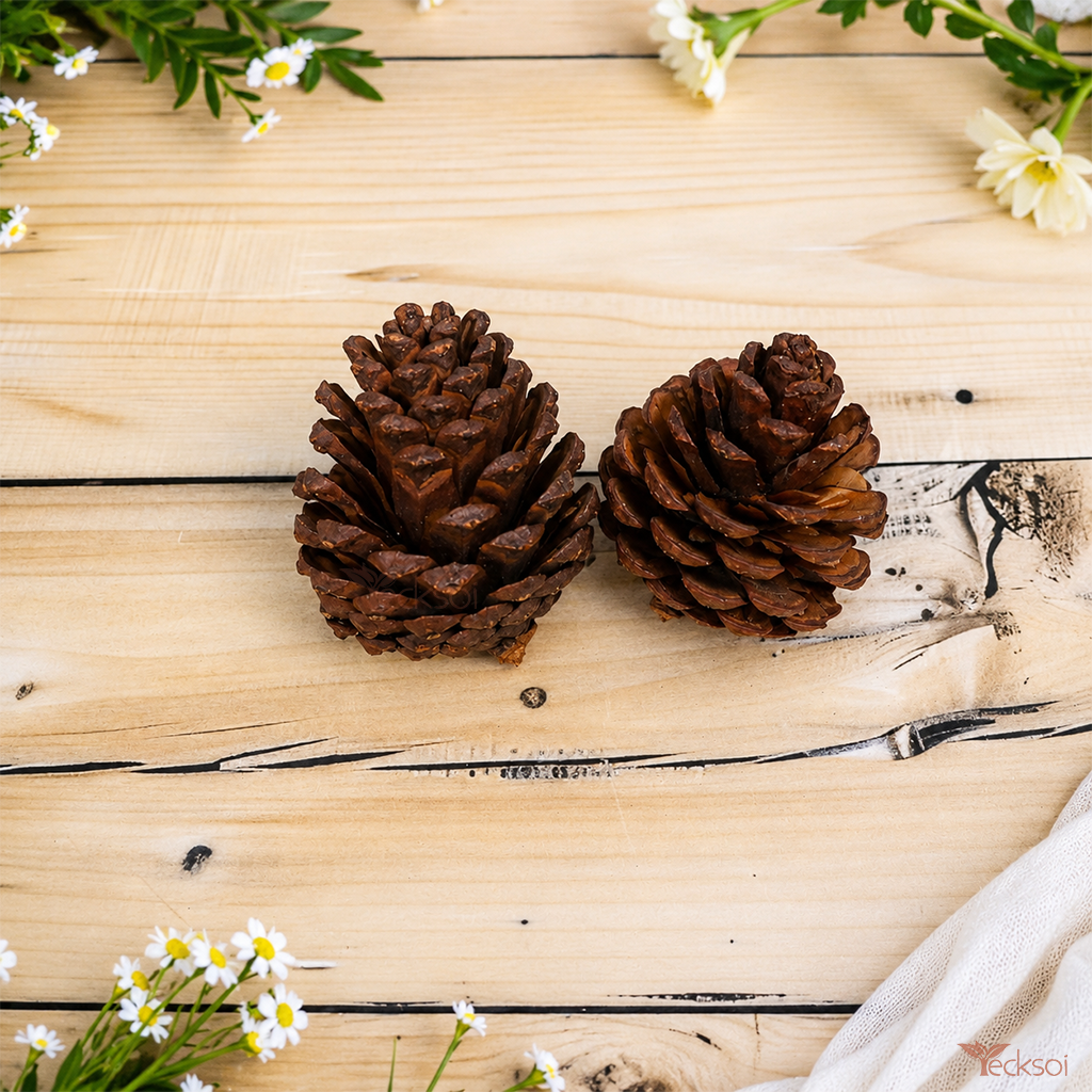 Tecksoi Natural Dried Pine Cone Rustic Wood Botanicals for Wreaths, Crafts & Home Decor | Pack Of 20