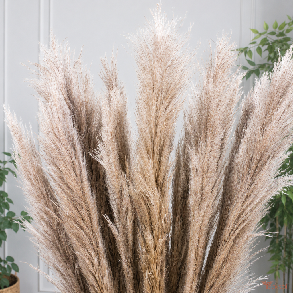 Tecksoi Natural Dried Premium Big Fluffy Pampas Grass – Luxury Dry Flowers for Vase Decoration, Boho Home Decor & Floral Arrangements | Pack Of 10 Stems