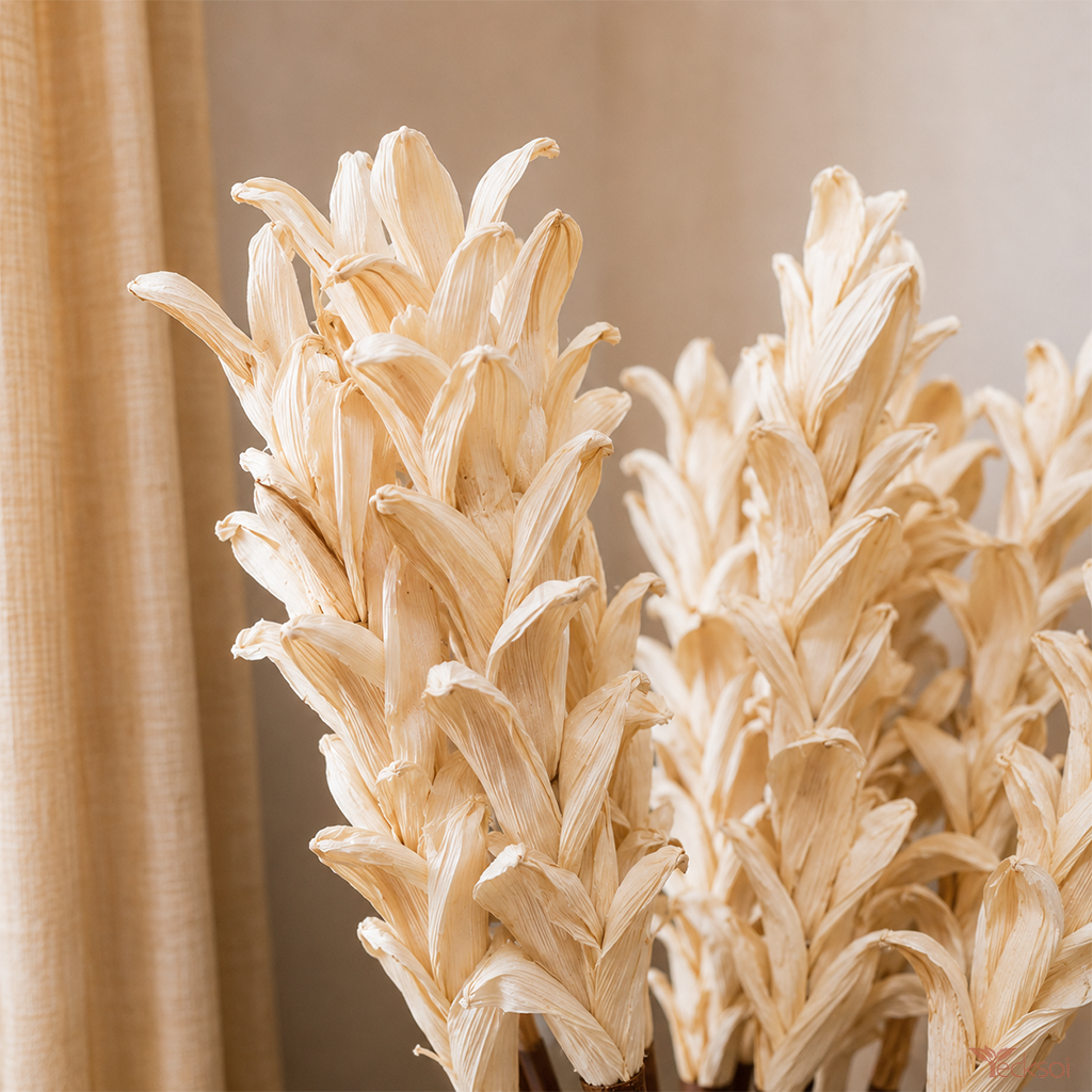 Tecksoi Natural Dried White Corn Husk Decorative Stems | Pack Of 5