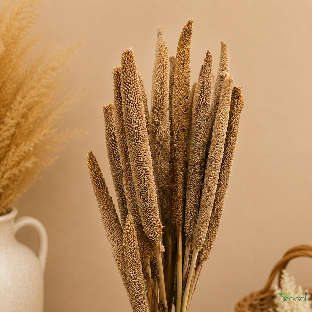 Tecksoi Natural Dried Fleur Millet – Premium 100% Natural Dry Exotic Filler for Bouquets, Floral Arrangements & Decorative Styling | Pack Of 10