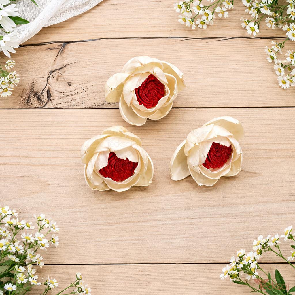 Tecksoi Natural Handcrafted Red Eyed Peony Sola Wood Flower | Pack Of 10