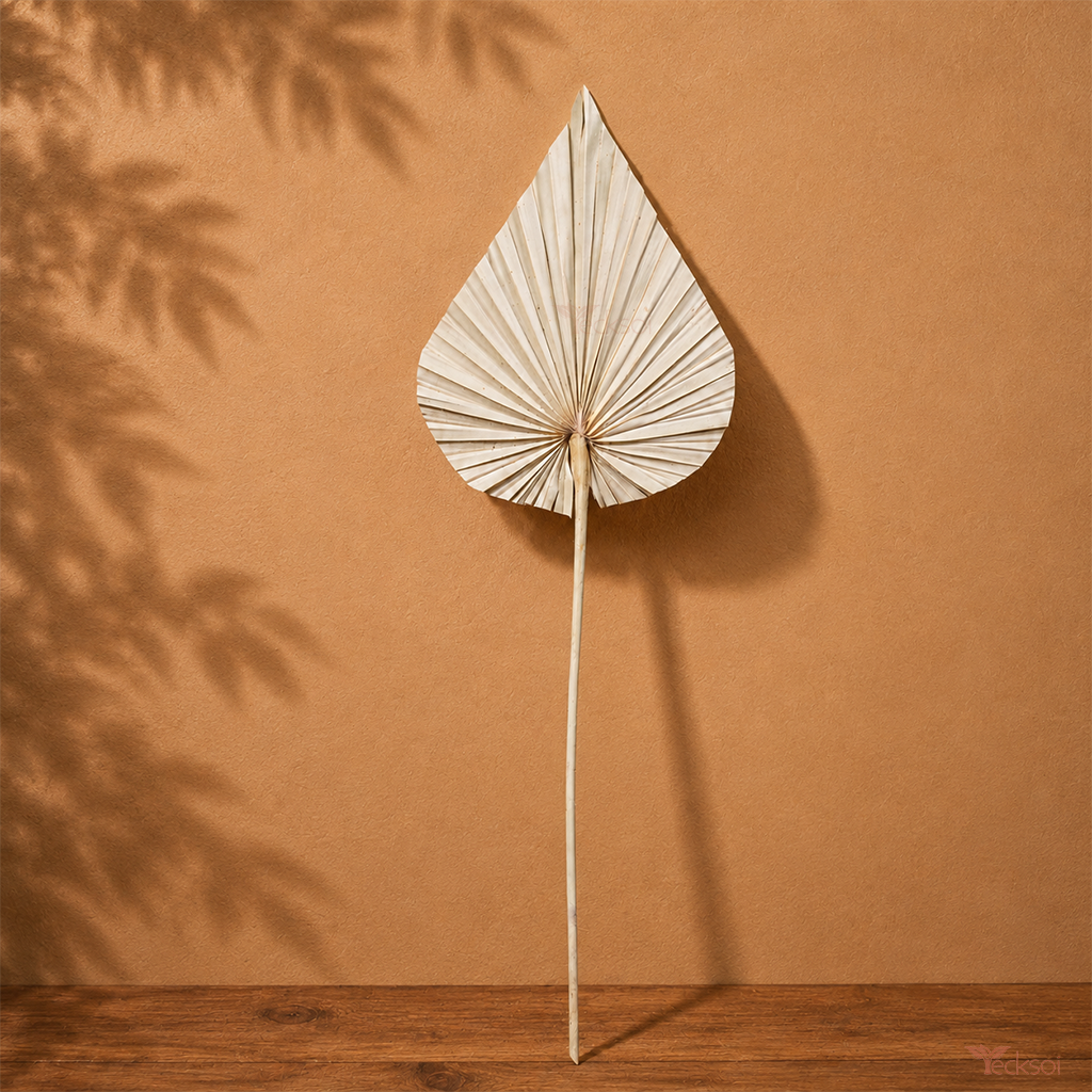 Tecksoi Natural Large Palm Leaves – Premium Dry Exotic Decorative Filler | Pack Of 5