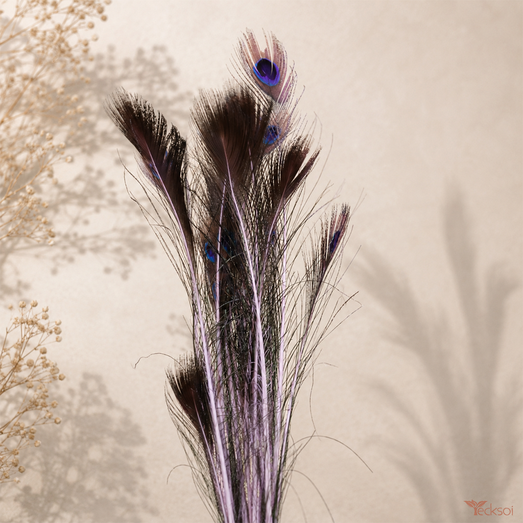 Tecksoi Natural Peacock Feathers – Real Eye Feathers for Crafts, Floral Decoration & Premium Home Decor | Pack Of 10