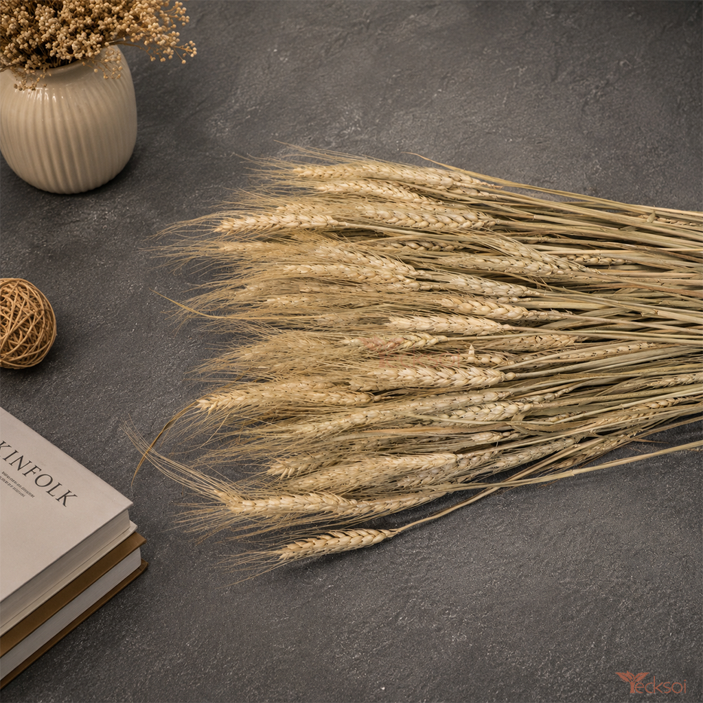 Tecksoi Natural Wheat Stalks – Dried Wheat Straw Bundle for Crafting, Home Decor & DIY Projects | Pack Of 1 Bundle