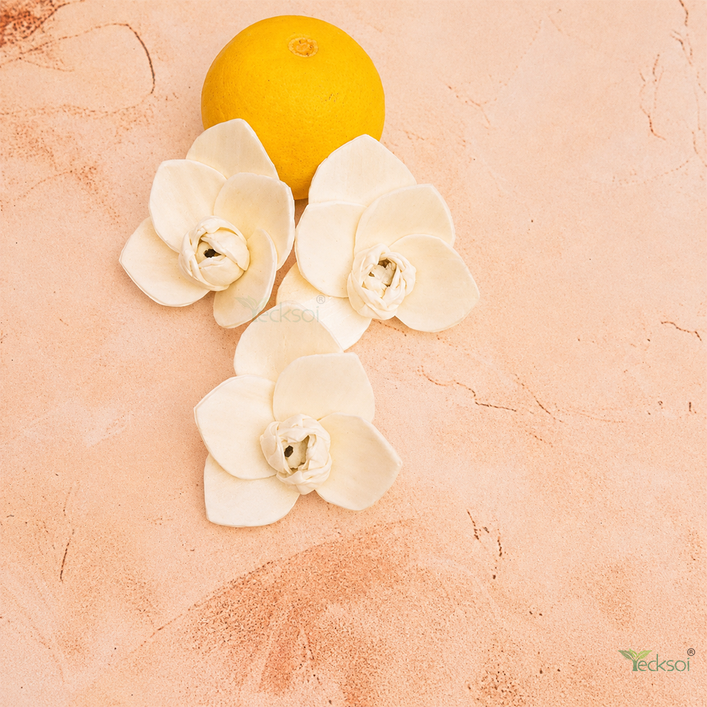 Tecksoi Orchid Sola Wood Flower – Premium Handcrafted Floral Decor with Realistic Orchid Beauty | Pack Of 10