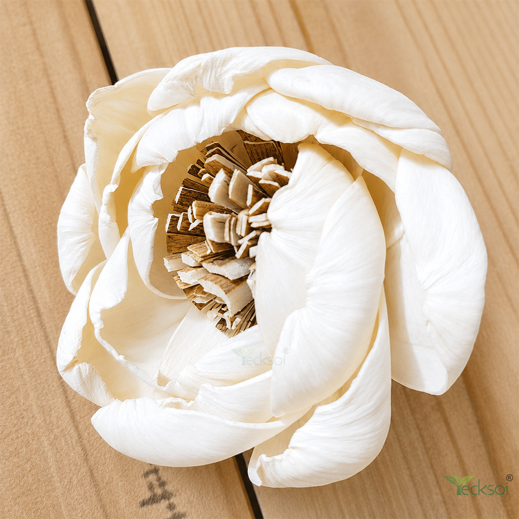 Tecksoi Peony Coral Charm Sola Wood Flower – Luxury Handcrafted Floral Decor with Realistic Bloom Beauty | Pack Of 10