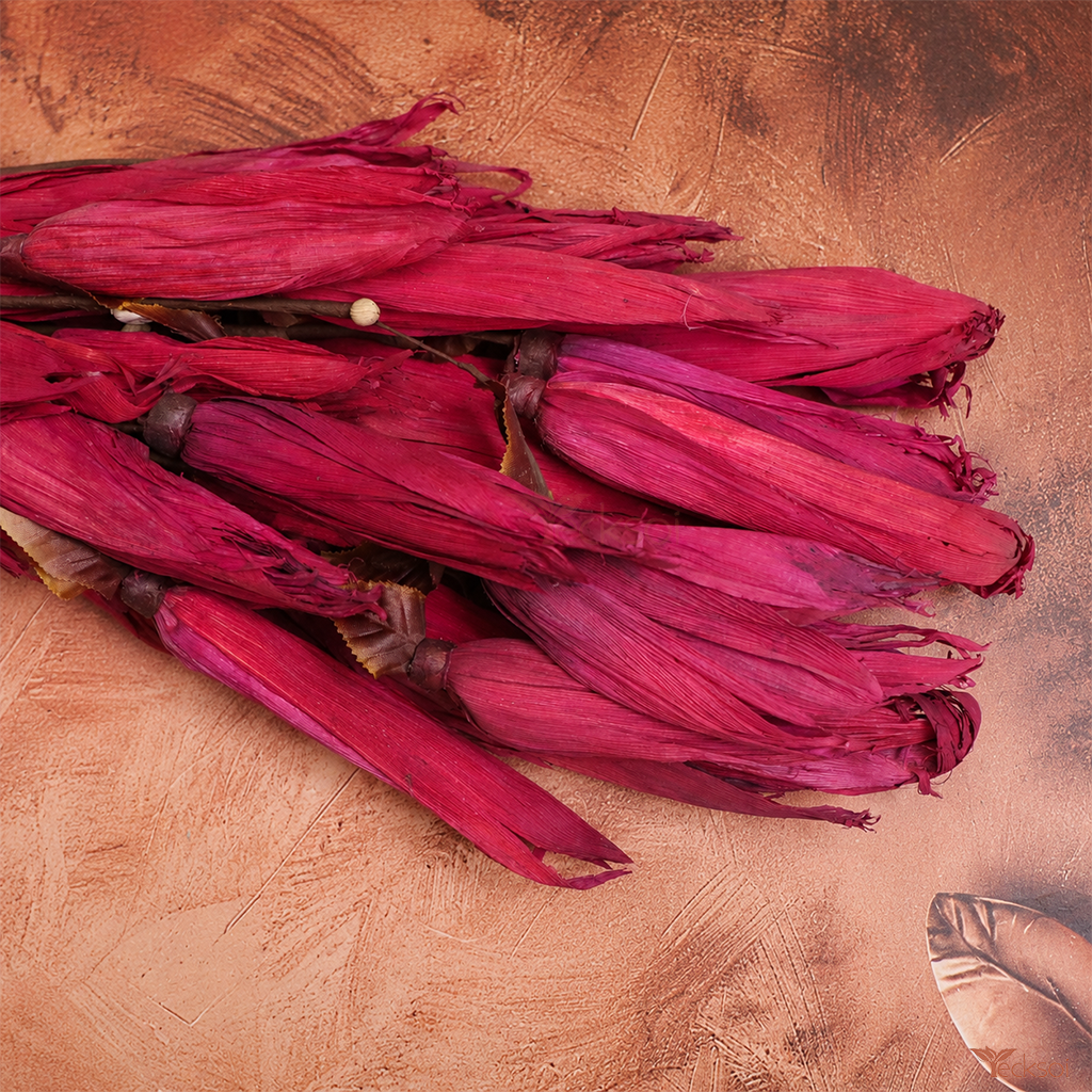 Tecksoi Pink Corn Husk Flower Sticks – Premium Handmade Dried Corn Husk Flowers on Stem for Home Decor, Vase Arrangements & Luxury Floral Styling | Pack Of 5