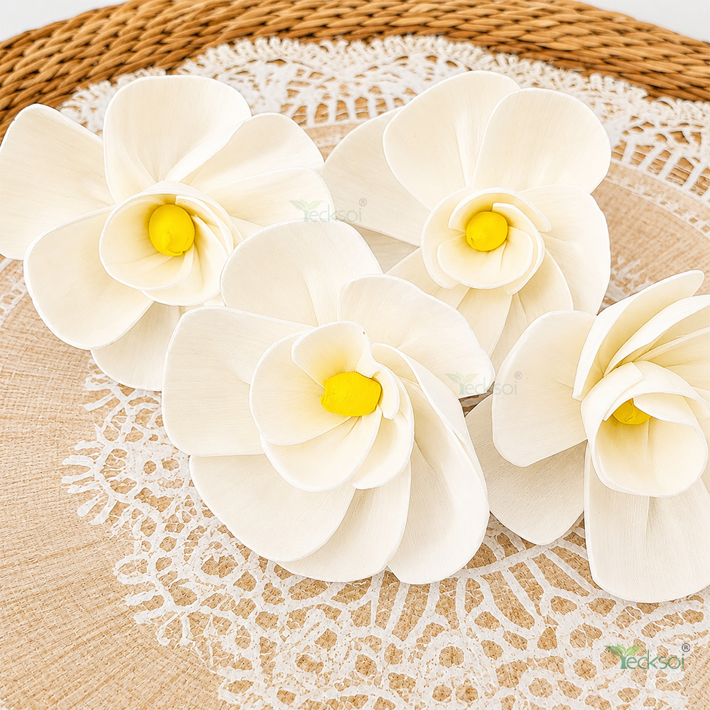 Tecksoi Plumeria Sola Wood Flower – Handcrafted Premium Floral Decor with Tropical Elegance | Pack Of 10