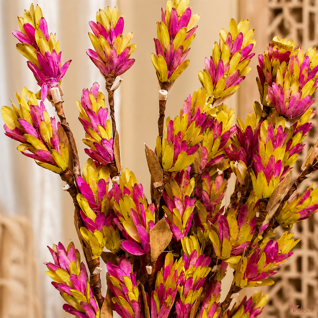 Tecksoi Sola Yellow Pink Chatka Pata Flower Bunch on Stem – Premium Handmade Dried Flowers for Event Decor, Home Decoration & Luxury Floral Arrangements | Pack Of 5