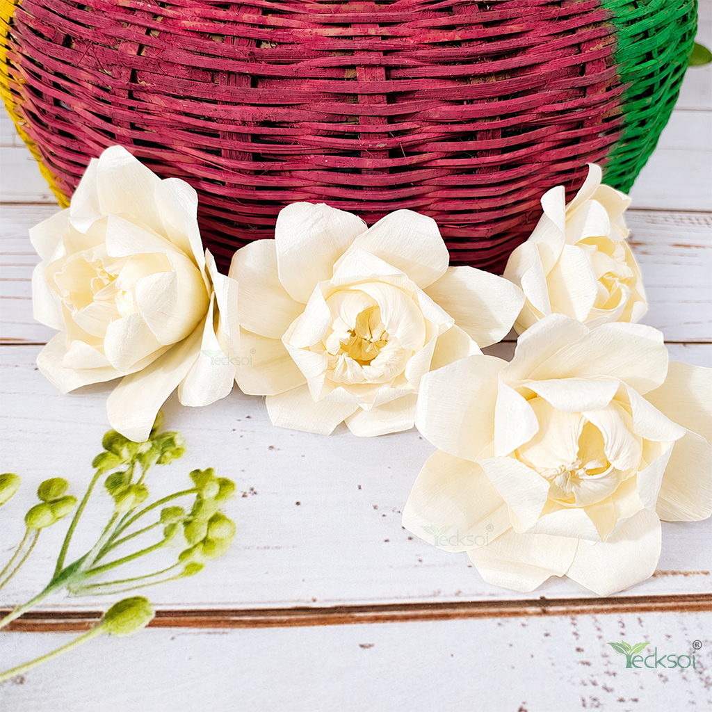Tecksoi Twist Curve Sola Wood Flower – Artistic Handcrafted Floral Decor with Modern Elegance | Pack Of 0