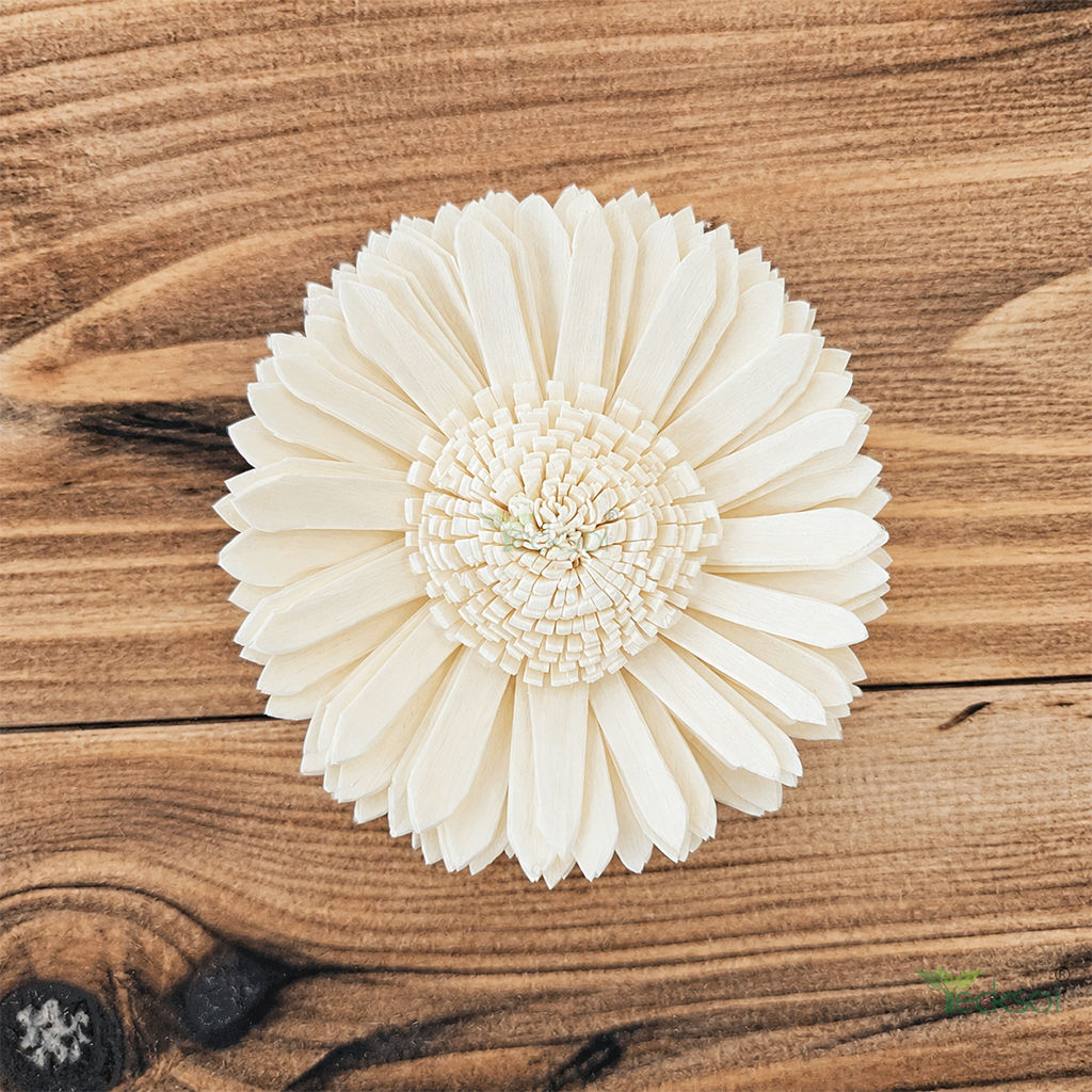 Tecksoi White Gerbera Sola Wood Flower – Handcrafted Premium Floral Decor for Elegant Living | Pack Of 10