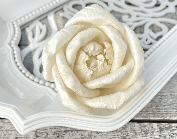 Tecksoi Enchanted Rose Sola Wood Flower Premium Quality 100% Natural Pack Of 12