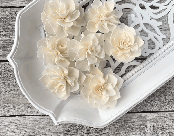 Tecksoi Abigail Sola Wood Flower Premium Quality 100% Natural Pack Of 12