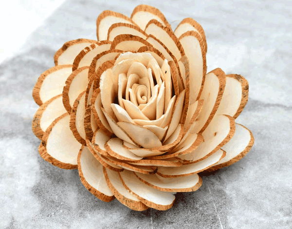 Tecksoi Almond SOla Wood Flower Premium Quality 100% Natural Pack Of 12