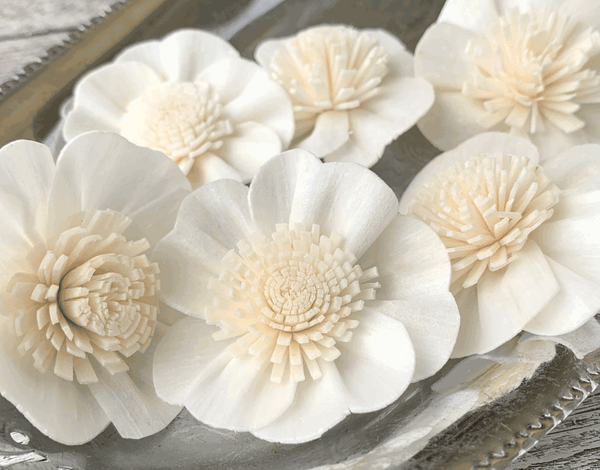 Tecksoi Apple Blossom Sola Wood Flower Premium Quality 100% Natural Pack Of 12