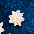 Tecksoi Arabian Jasmine Sola Wood Flower – Realistic Handcrafted Floral Decor with Pure Natural Elegance | Pack Of 10