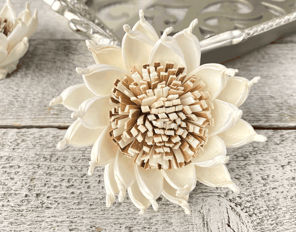 Tecksoi Aztec Sola Wood Flower Premium Quality 100% Natural Pack Of 12