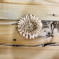 Tecksoi Bark Zinnia Sola Wood Flower – Premium Handmade Natural Dry Flower for Elegant Home & Event Decor | Pack Of 10