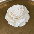 Tecksoi Beauty Rose Sola Wood Flower – Elegant Handcrafted Floral Decor with Timeless Charm | Pack Of 10