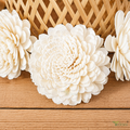 Tecksoi Belle Sola Wood Flower – Elegant Handcrafted Floral Decor with Real Flower-Like Beauty | Pack Of 10