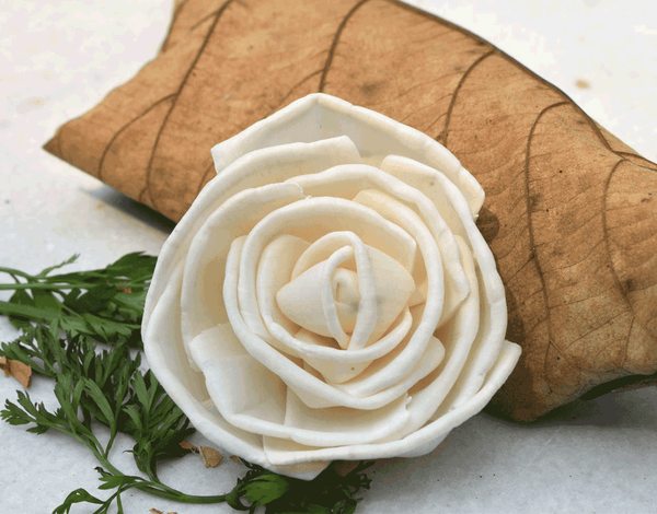 Tecksoi Bird Rose Sola Wood Flower premium Quality 1005 Natural Pack Of 12