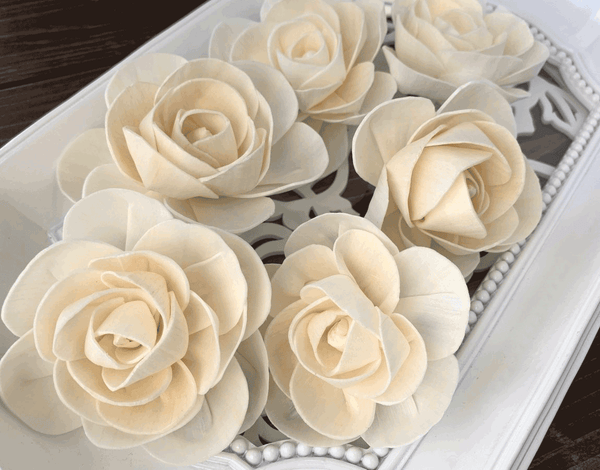 Tecksoi Bonica Sola Wood Flower Premium Quality 100% Natural Pack Of 12