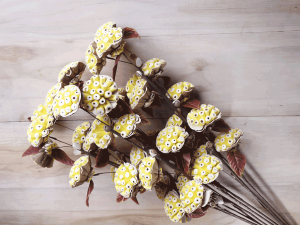 Tecksoi Burl Sola Wood Flower Stick Premium Quality 100% Natural Pack Of 10