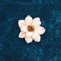 Tecksoi Cape Jasmine Sola Wood Flower – Realistic Handcrafted Floral Decor with Pure Garden Elegance | Pack Of 10