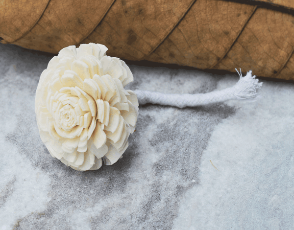 Tecksoi Cedar Sola Wood Flower Premium Quality 100%  Natural Pack Of 12