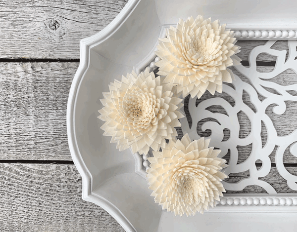 Tecksoi Chrysanthemum Sola Wood Flower Premium Quality 100% Natural Pack Of 12