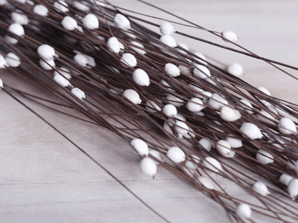 Tecksoi Coco Pearl Filler Sola Wood Flower Stick Premium Quality 100% Natural Pack Of 10