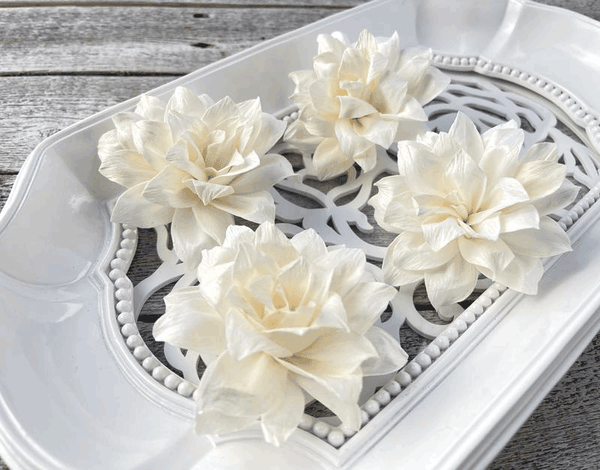 Tecksoi Corneil Sola Wood Flower Premium Quality 100% Natural Pack Of 12