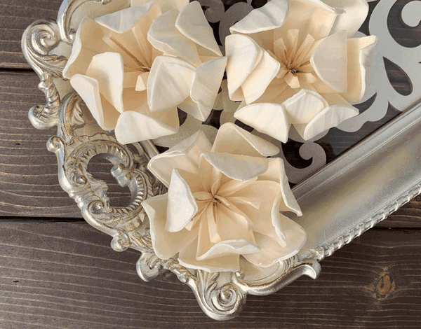 Tecksoi Cream-tone Sola Wood Flower Premium Quality 100% Natural Pack Of 12